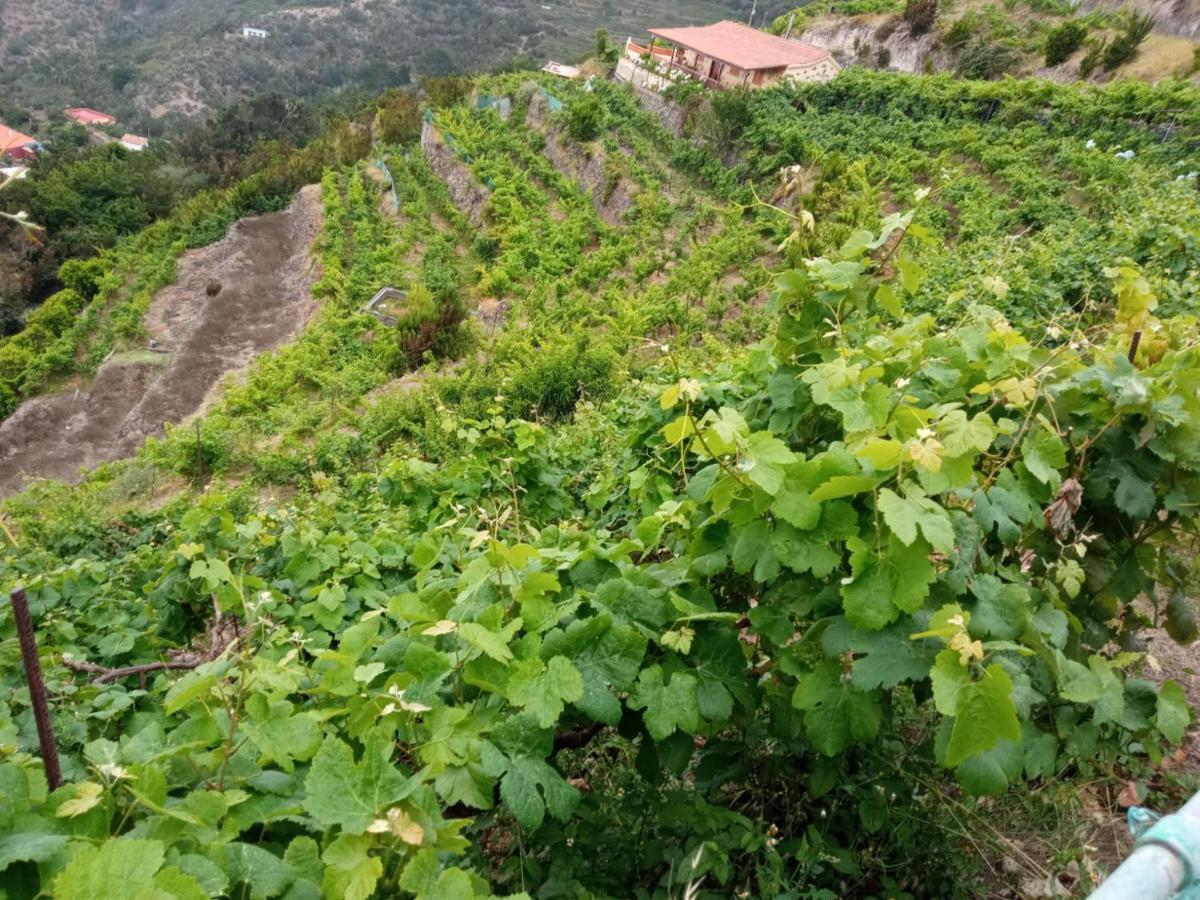 Casa Rural Quilla Agulo Ngoại thất bức ảnh