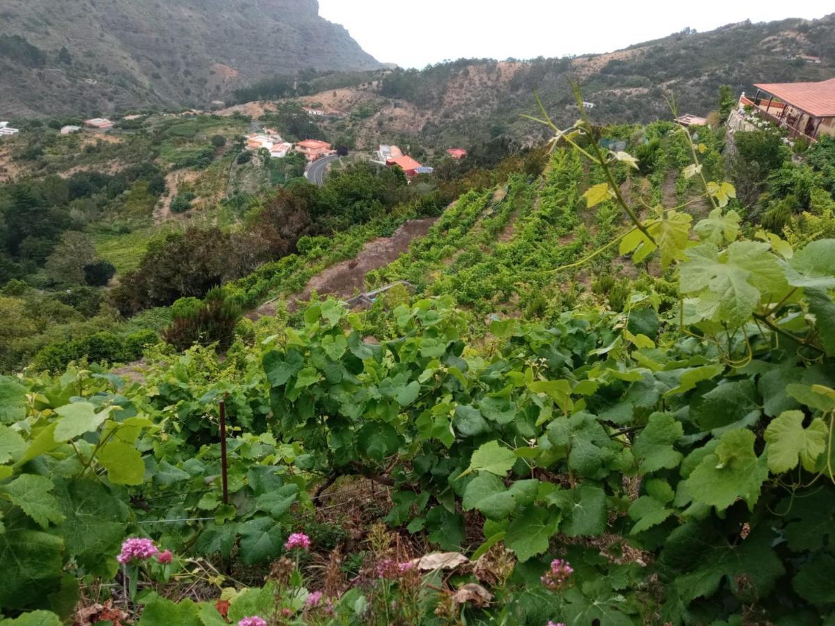 Casa Rural Quilla Agulo Ngoại thất bức ảnh